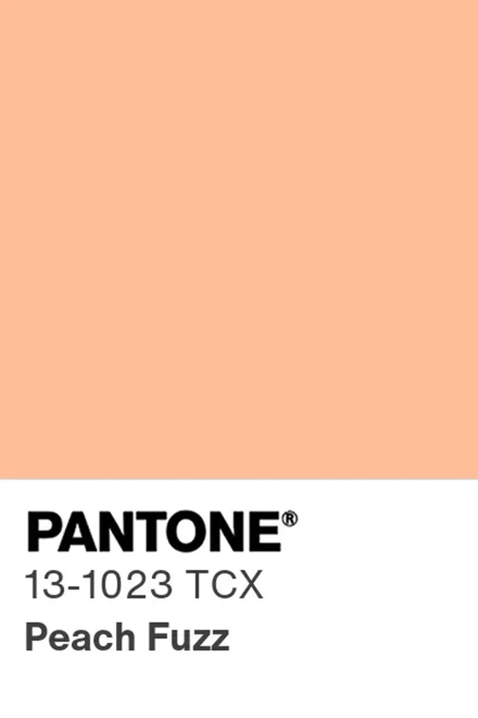 A Pantone elege a Peach Fuzz (13-1023) como cor de destaque para o ano de 2024. (Foto: Divulgação)